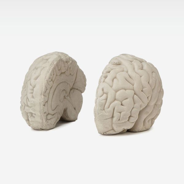 Picture of Brain Book Holder